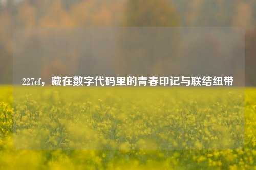 227cf,藏在数字代码里的青春印记与联结纽带