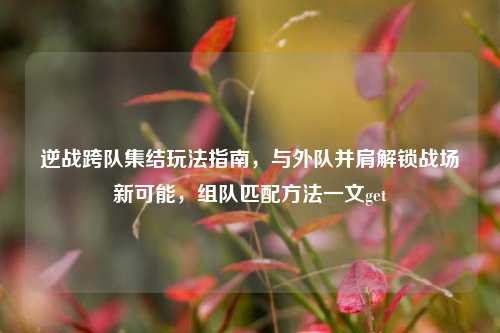 逆战跨队集结玩法指南,与外队并肩解锁战场新可能,组队匹配方法一文get