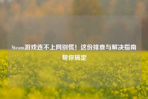 Steam游戏连不上网别慌！这份排查与解决指南帮你搞定