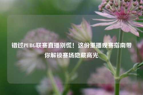 错过PUBG联赛直播别慌！这份重播观赛指南带你解锁赛场隐藏高光