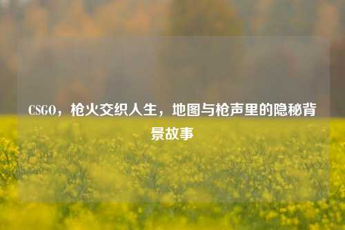 CSGO,枪火交织人生,地图与枪声里的隐秘背景故事
