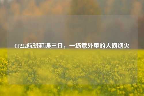 CF222航班延误三日，一场意外里的人间烟火