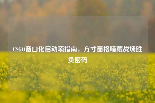 CSGO窗口化启动项指南,方寸窗格暗藏战场胜负密码