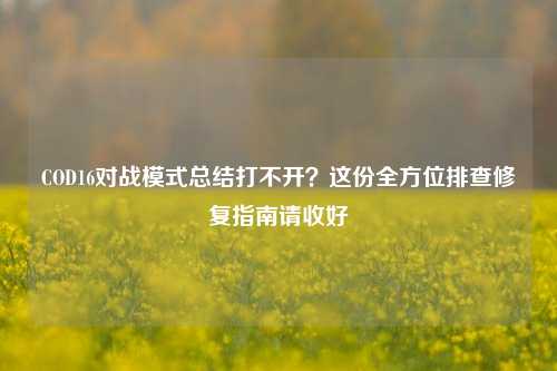 COD16对战模式总结打不开？这份全方位排查修复指南请收好