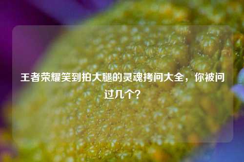 王者荣耀笑到拍大腿的灵魂拷问大全,你被问过几个?