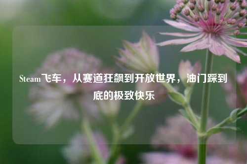 Steam飞车,从赛道狂飙到开放世界,油门踩到底的极致快乐