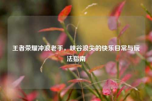 王者荣耀冲浪老手，峡谷浪尖的快乐日常与玩法指南