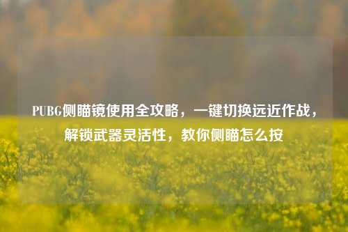 PUBG侧瞄镜使用全攻略,一键切换远近作战,解锁武器灵活性,教你侧瞄怎么按