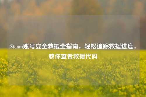 Steam账号安全救援全指南,轻松追踪救援进度,教你查看救援代码