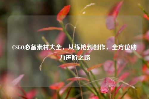 CSGO必备素材大全，从练枪到创作，全方位助力进阶之路