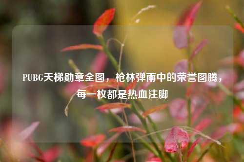 PUBG天梯勋章全图，枪林弹雨中的荣誉图腾，每一枚都是热血注脚