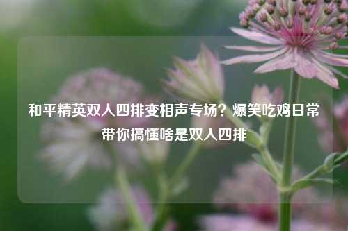 和平精英双人四排变相声专场？爆笑吃鸡日常带你搞懂啥是双人四排