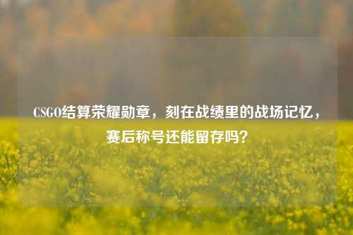CSGO结算荣耀勋章,刻在战绩里的战场记忆,赛后称号还能留存吗?