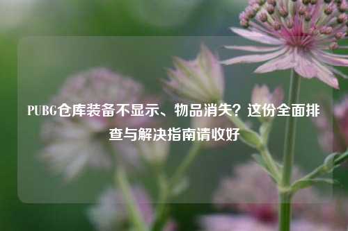 PUBG仓库装备不显示、物品消失？这份全面排查与解决指南请收好