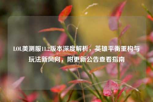 LOL美测服11.2版本深度解析，英雄平衡重构与玩法新风向，附更新公告查看指南