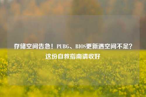 存储空间告急！PUBG、BIOS更新遇空间不足？这份自救指南请收好