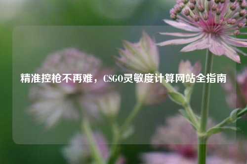 精准控枪不再难,CSGO灵敏度计算网站全指南