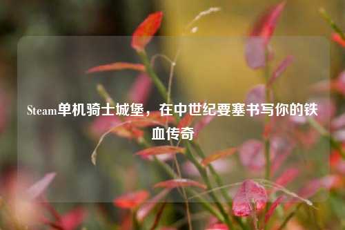 Steam单机骑士城堡，在中世纪要塞书写你的铁血传奇