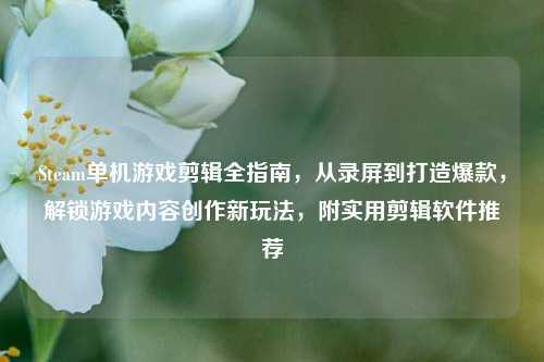Steam单机游戏剪辑全指南，从录屏到打造爆款，解锁游戏内容创作新玩法，附实用剪辑软件推荐
