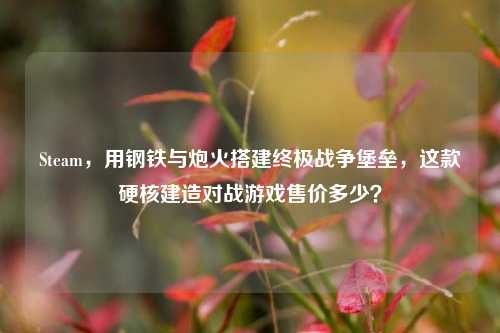 Steam,用钢铁与炮火搭建终极战争堡垒,这款硬核建造对战游戏售价多少?