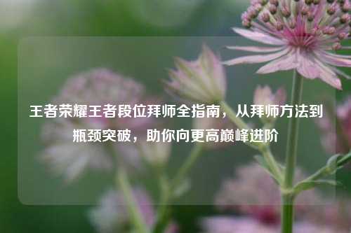 王者荣耀王者段位拜师全指南,从拜师方法到瓶颈突破,助你向更高巅峰进阶