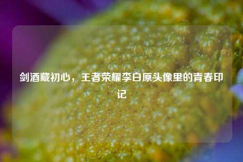 剑酒藏初心，王者荣耀李白原头像里的青春印记