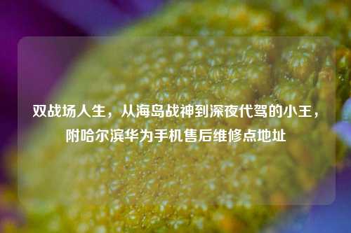 双战场人生，从海岛战神到深夜代驾的小王，附哈尔滨华为手机售后维修点地址