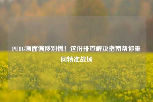 PUBG画面偏移别慌！这份排查解决指南帮你重回精准战场