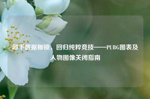 卸下数据枷锁，回归纯粹竞技——PUBG图表及人物图像关闭指南