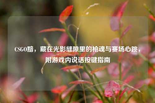 CSGO黯,藏在光影缝隙里的枪魂与赛场心跳,附游戏内说话按键指南