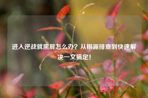 进入逆战就黑屏怎么办？从根源排查到快速解决一文搞定！