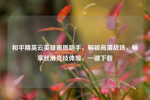 和平精英云英雄画质助手,解锁高清战场,畅享丝滑竞技体验,一键下载