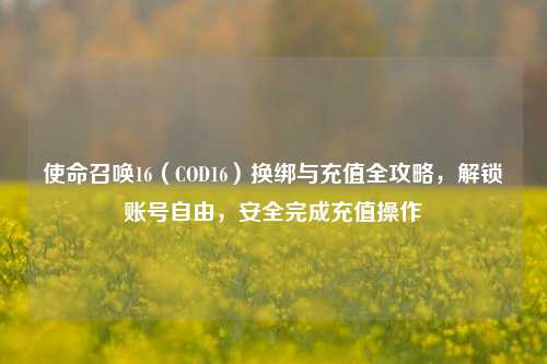 使命召唤16(COD16)换绑与充值全攻略,解锁账号自由,安全完成充值操作