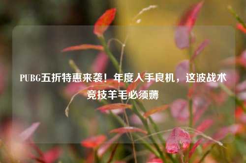 PUBG五折特惠来袭！年度入手良机，这波战术竞技羊毛必须薅