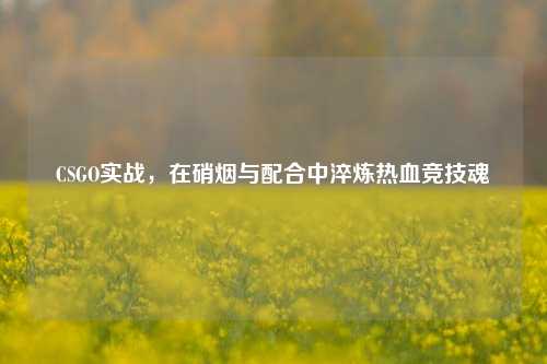 CSGO实战，在硝烟与配合中淬炼热血竞技魂