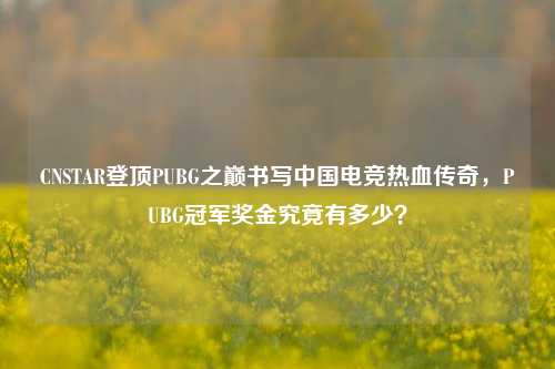 CNSTAR登顶PUBG之巅书写中国电竞热血传奇,PUBG冠军奖金究竟有多少?