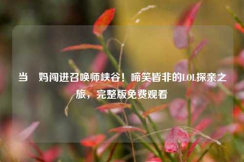 当囧妈闯进召唤师峡谷！啼笑皆非的LOL探亲之旅，完整版免费观看