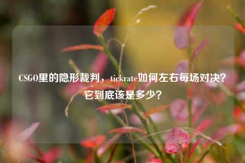 CSGO里的隐形裁判,tickrate如何左右每场对决?它到底该是多少?
