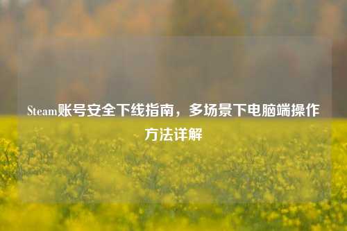 Steam账号安全下线指南,多场景下电脑端操作方法详解