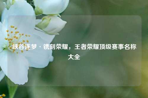 峡谷逐梦·镌刻荣耀，王者荣耀顶级赛事名称大全