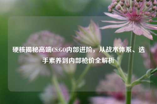 硬核揭秘高端CS:GO内部进阶，从战术体系、选手素养到内部枪价全解析