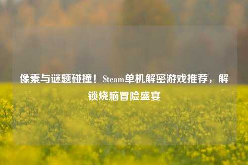 像素与谜题碰撞!Steam单机解密游戏推荐,解锁烧脑冒险盛宴