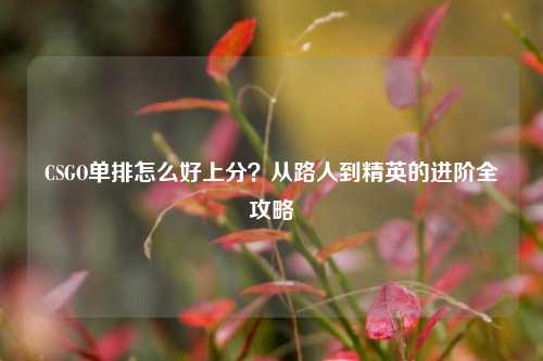 CSGO单排怎么好上分?从路人到精英的进阶全攻略