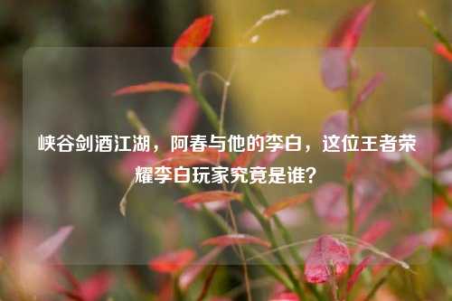 峡谷剑酒江湖，阿春与他的李白，这位王者荣耀李白玩家究竟是谁？