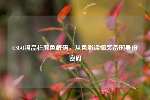 CSGO物品栏颜色解码，从色彩读懂装备的身份密码