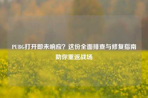 PUBG打开即未响应?这份全面排查与修复指南助你重返战场