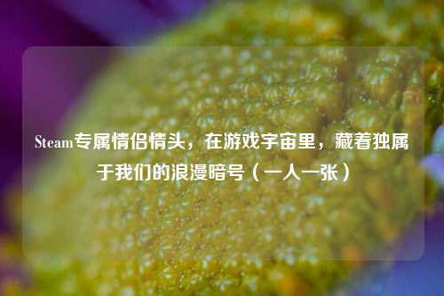 Steam专属情侣情头,在游戏宇宙里,藏着独属于我们的浪漫暗号(一人一张)