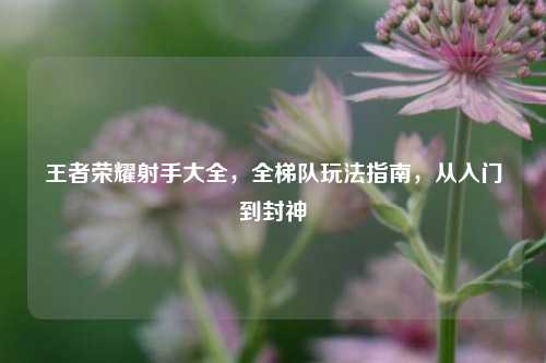 王者荣耀射手大全，全梯队玩法指南，从入门到封神