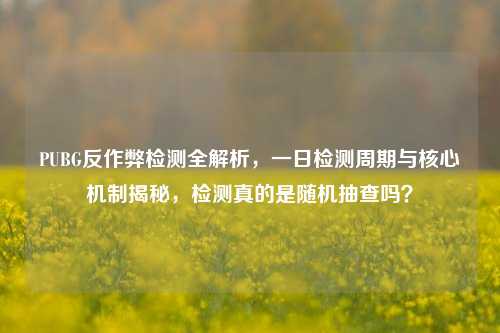 PUBG反作弊检测全解析,一日检测周期与核心机制揭秘,检测真的是随机抽查吗?