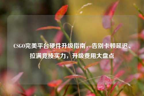 CSGO完美平台硬件升级指南，告别卡顿延迟、拉满竞技实力，升级费用大盘点